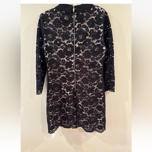 Ted Baker Women Black Ameera Scallop Hem Lace Dress Peter Pan Collar US Size 10 - Picture 10 of 10